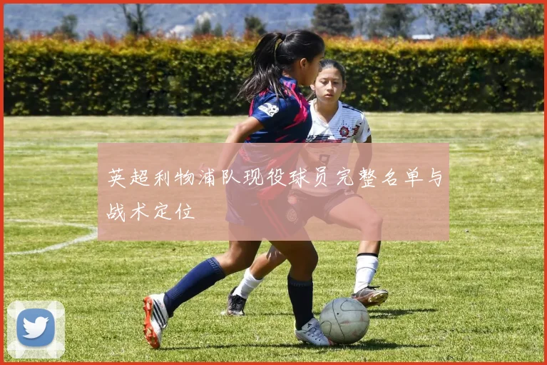 英超利物浦队现役球员完整名单与战术定位