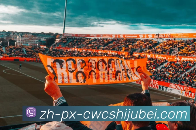 世界杯买球平台生态图